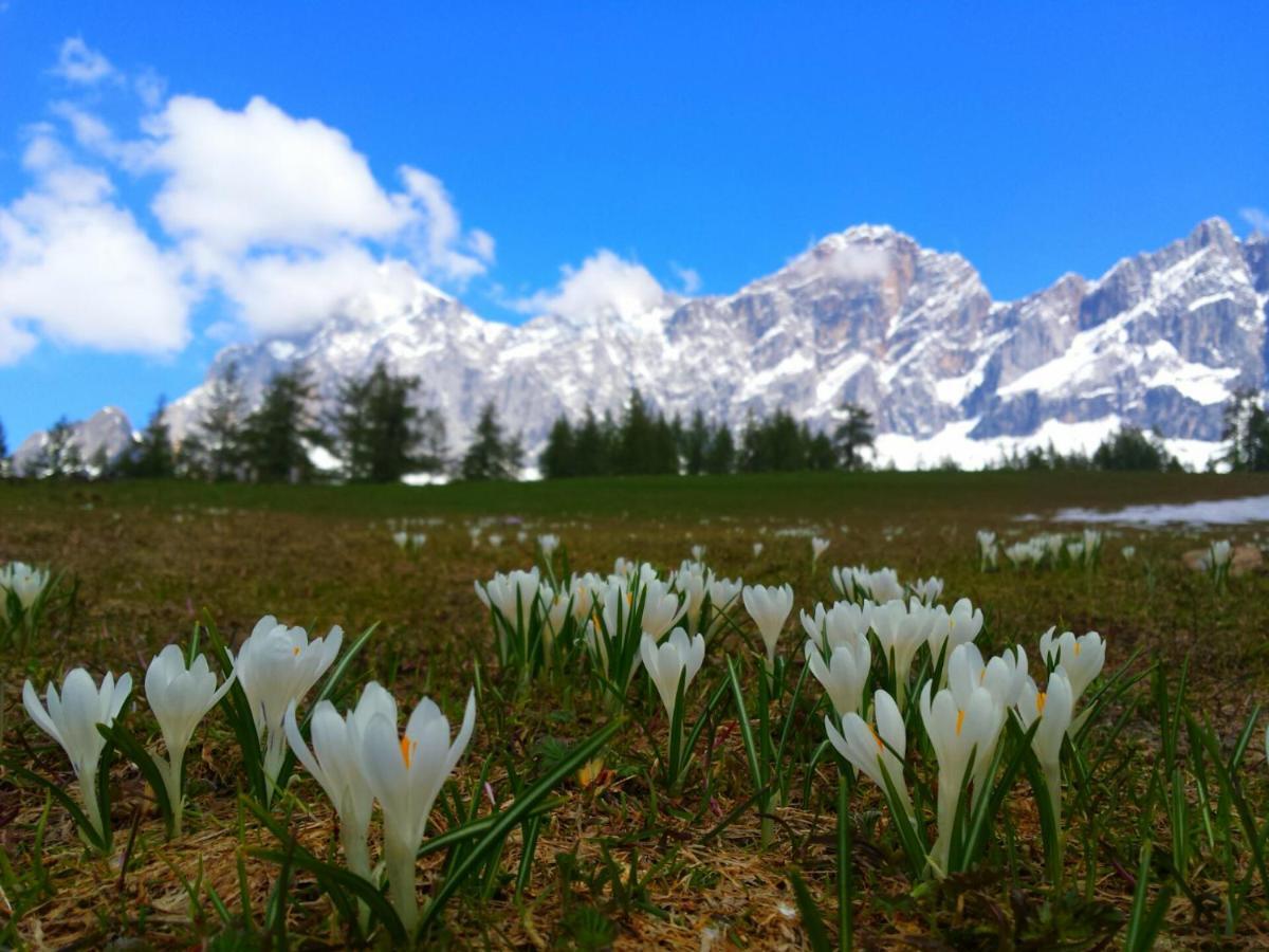 Haus Ferienglueck Lägenhet Ramsau am Dachstein Exteriör bild